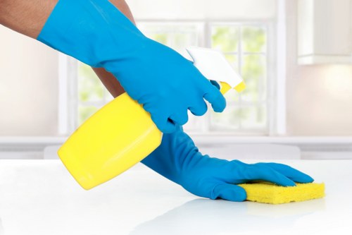 Professional cleaner working in a home interior
