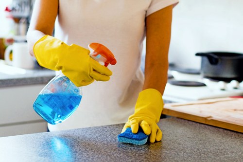 Professional patio washing equipment cleaning outdoor paving
