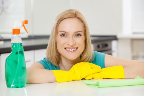 Local transfer station waste separation for Colliers Wood cleaning services