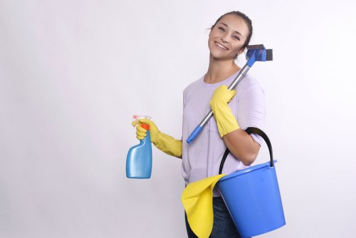 Local upholstery cleaner treating a family sofa in Colliers Wood